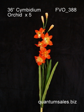 36" Cymbidium Orchid x 5  ( $3.90 )